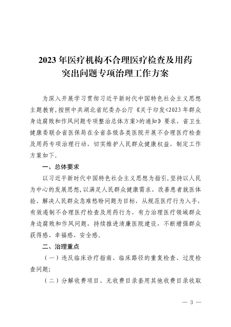 （省發(fā)）鄂衛(wèi)通〔2023〕13號(hào) 關(guān)于印發(fā)《2023年醫(yī)療機(jī)構(gòu)不合理醫(yī)療檢查及用藥突出問題專項(xiàng)治理工作方案》的通知(1)jpg_Page3